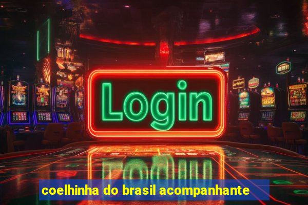 coelhinha do brasil acompanhante