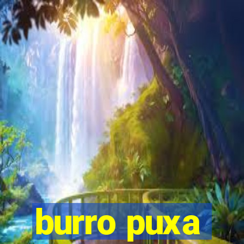 burro puxa