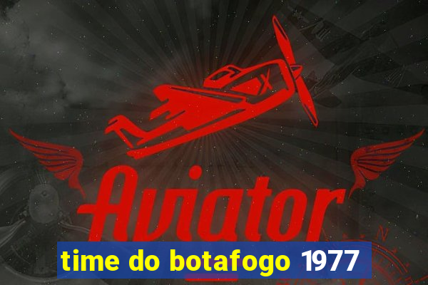 time do botafogo 1977