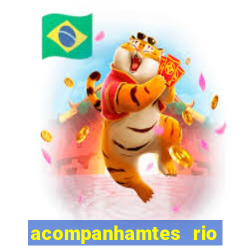 acompanhamtes rio de janeiro