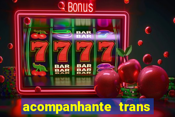 acompanhante trans porto seguro