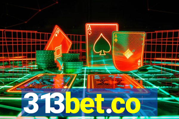 313bet.co