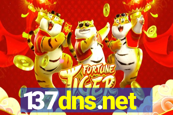 137dns.net