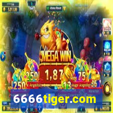 6666tiger.com