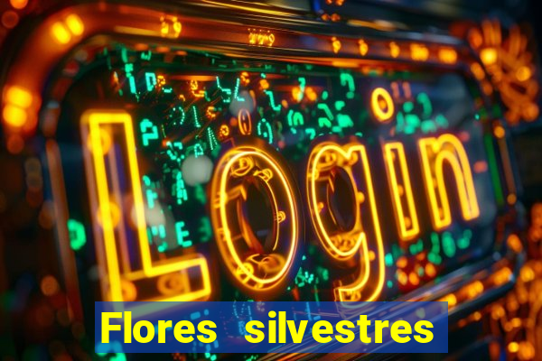 Flores silvestres brasileiras brasileiras flores silvestres nomes e imagens