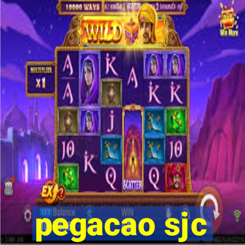 pegacao sjc