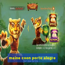 maine coon porto alegre