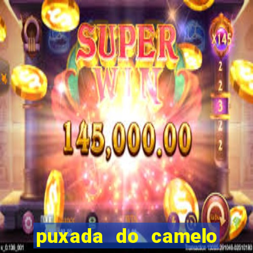 puxada do camelo no jogo do bicho