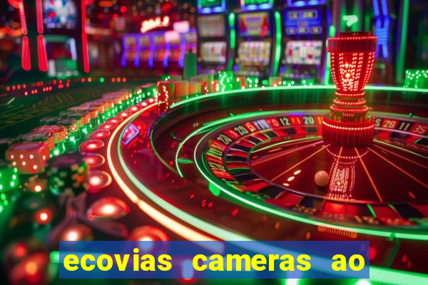 ecovias cameras ao vivo santos