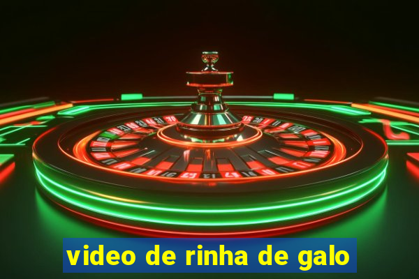 video de rinha de galo