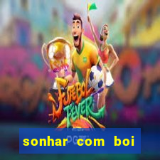 sonhar com boi jogo do bicho