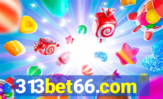 313bet66.com