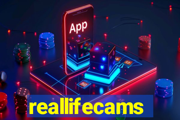 reallifecams