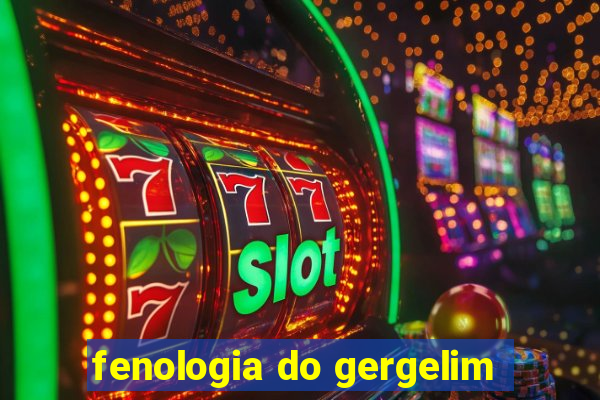 fenologia do gergelim