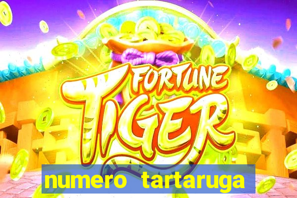 numero tartaruga jogo do bicho