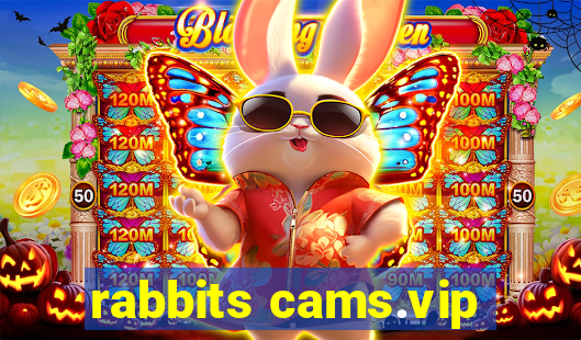 rabbits cams.vip