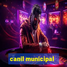 canil municipal