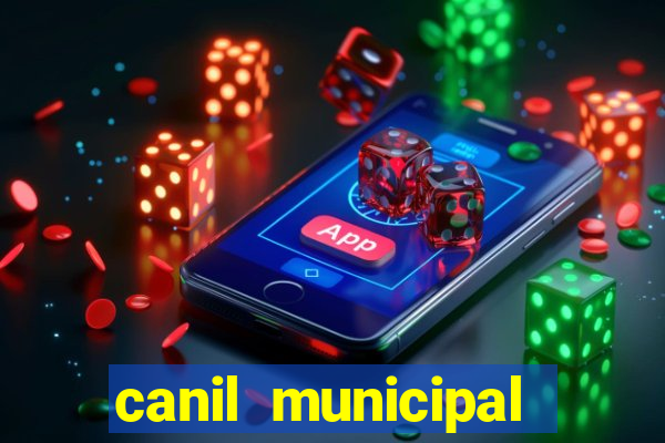 canil municipal porto alegre