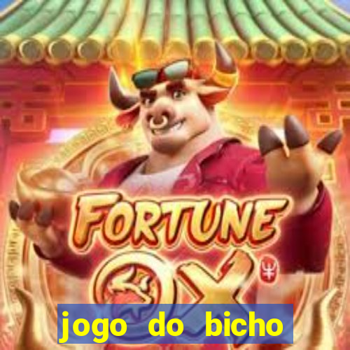 jogo do bicho preferida matinal