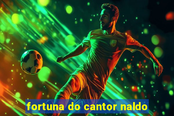 fortuna do cantor naldo