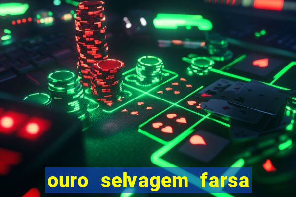 ouro selvagem farsa ouro selvagem o que aconteceu