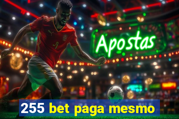 255 bet paga mesmo