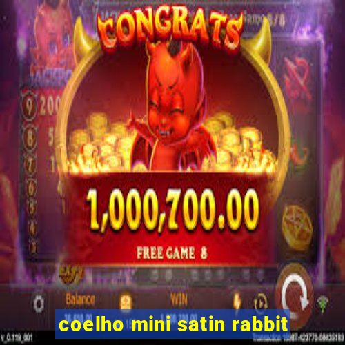 coelho mini satin rabbit