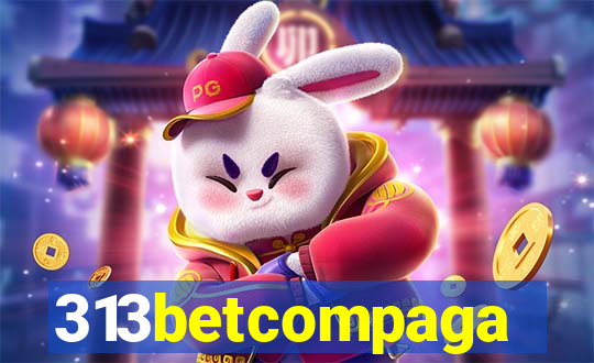 313betcompaga