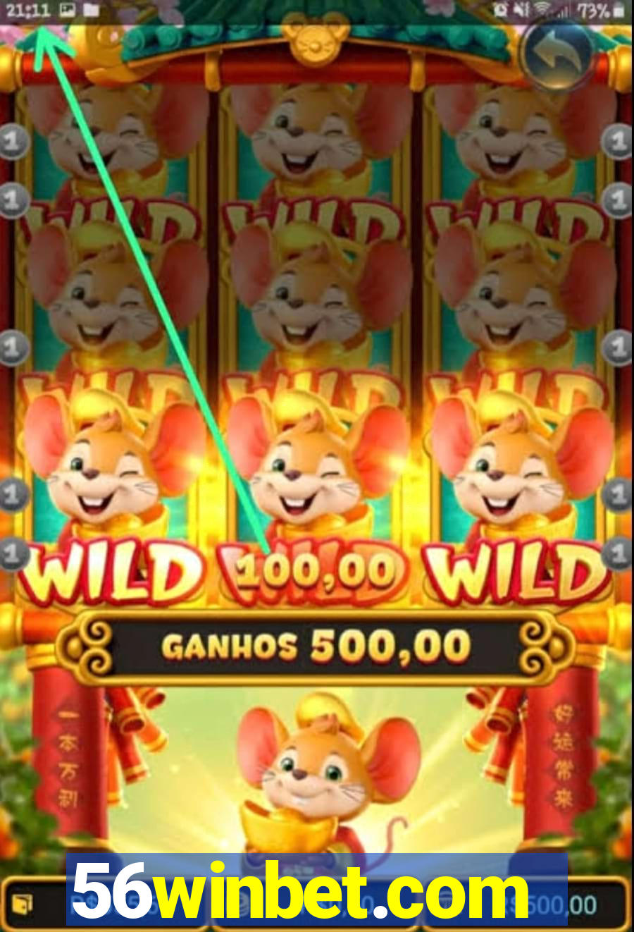 56winbet.com