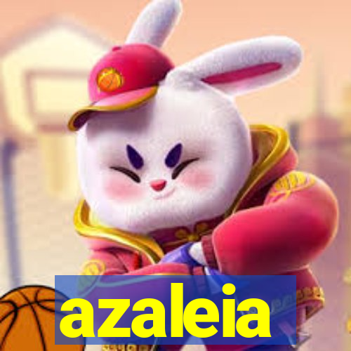 azaleia-br.com