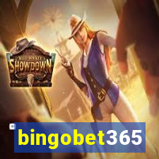 bingobet365