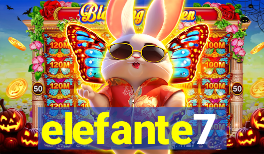 elefante7