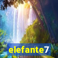 elefante7