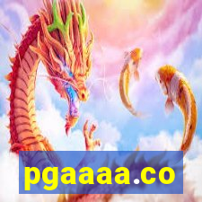 pgaaaa.co