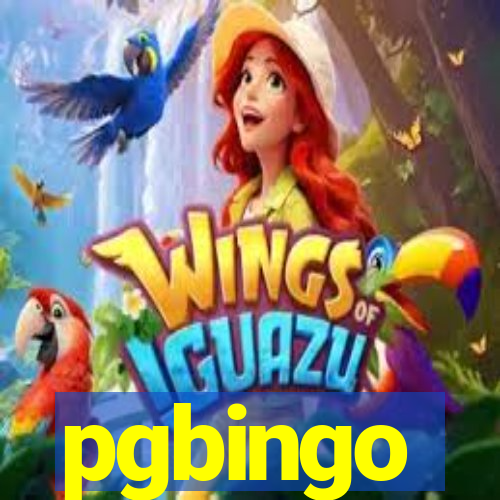 pgbingo