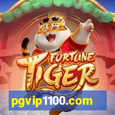 pgvip1100.com