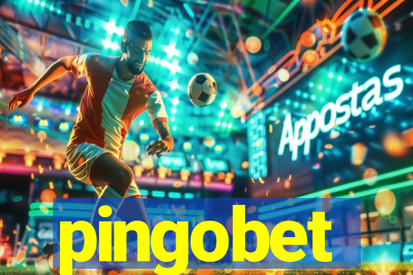 pingobet