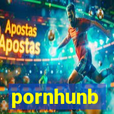 pornhunb