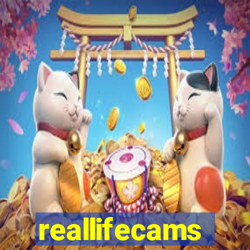 reallifecams