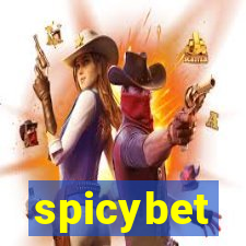 spicybet-3.com