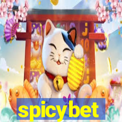 spicybet-3.com