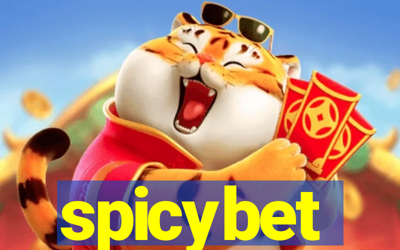 spicybet-4.com