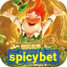 spicybet-4.com