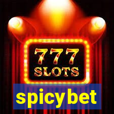 spicybet-4.com