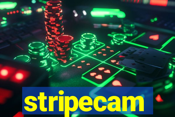 stripecam