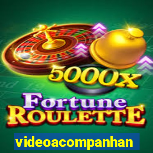 videoacompanhante